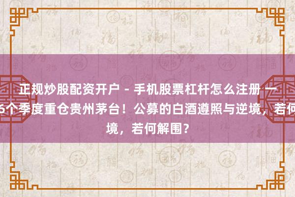 正规炒股配资开户 - 手机股票杠杆怎么注册 一语气36个季度重仓贵州茅台！公募的白酒遵照与逆境，若何解围？