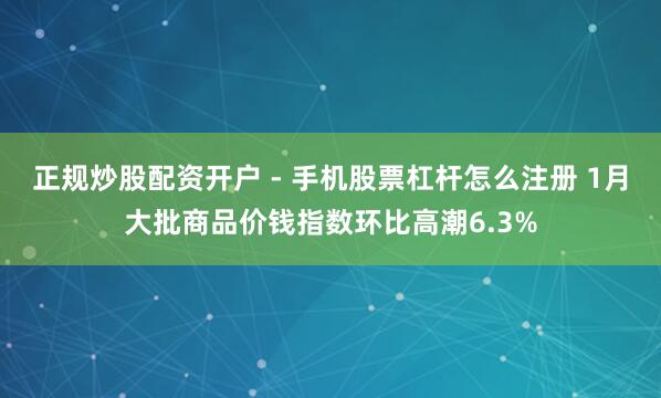 正规炒股配资开户 - 手机股票杠杆怎么注册 1月大批商品价钱指数环比高潮6.3%