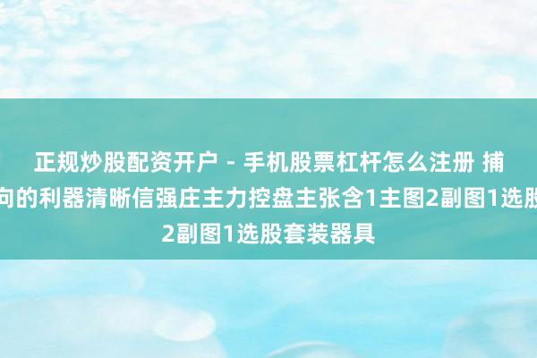 正规炒股配资开户 - 手机股票杠杆怎么注册 捕捉庄家动向的利器清晰信强庄主力控盘主张含1主图2副图1选股套装器具