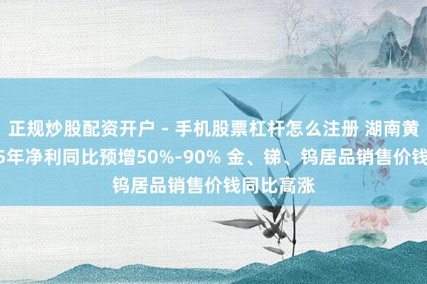 正规炒股配资开户 - 手机股票杠杆怎么注册 湖南黄金：2025年净利同比预增50%-90% 金、锑、钨居品销售价钱同比高涨