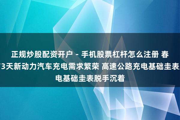 正规炒股配资开户 - 手机股票杠杆怎么注册 春节假期前3天新动力汽车充电需求繁荣 高速公路充电基础圭表脱手沉着
