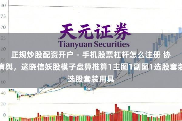 正规炒股配资开户 - 手机股票杠杆怎么注册 协力抬肩舆，邃晓信妖股模子盘算推算1主图1副图1选股套装用具