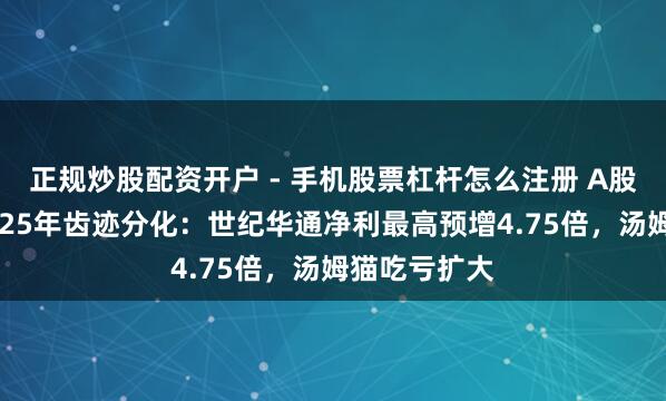 正规炒股配资开户 - 手机股票杠杆怎么注册 A股游戏公司2025年齿迹分化：世纪华通净利最高预增4.75倍，汤姆猫吃亏扩大