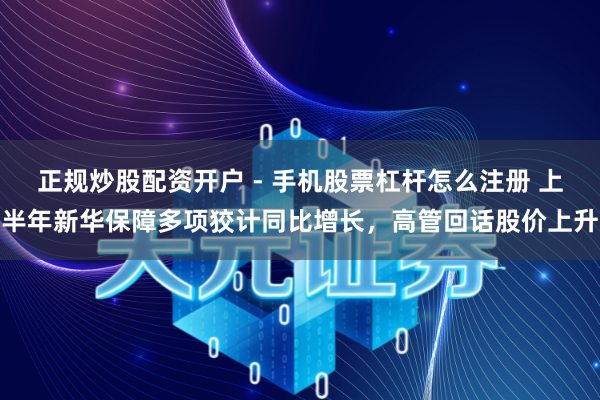 正规炒股配资开户 - 手机股票杠杆怎么注册 上半年新华保障多项狡计同比增长，高管回话股价上升