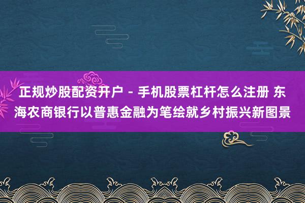 正规炒股配资开户 - 手机股票杠杆怎么注册 东海农商银行以普惠金融为笔绘就乡村振兴新图景