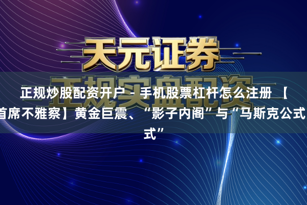 正规炒股配资开户 - 手机股票杠杆怎么注册 【首席不雅察】黄金巨震、“影子内阁”与“马斯克公式”