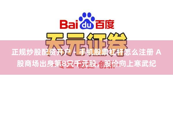 正规炒股配资开户 - 手机股票杠杆怎么注册 A股商场出身第8只千元股，股价向上寒武纪