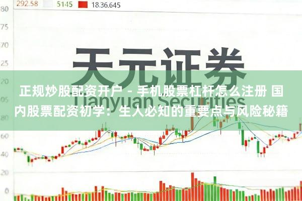 正规炒股配资开户 - 手机股票杠杆怎么注册 国内股票配资初学：生人必知的重要点与风险秘籍