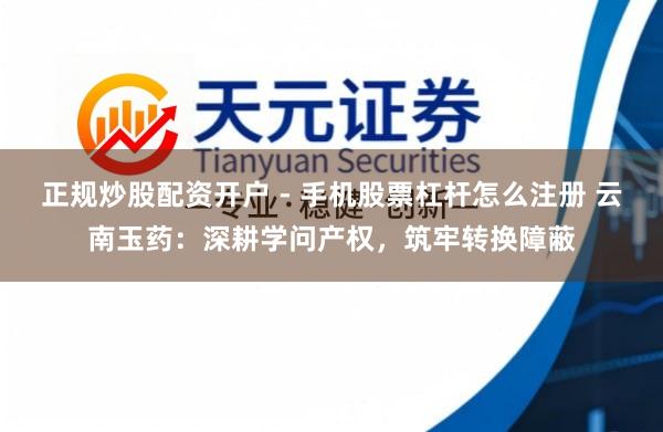 正规炒股配资开户 - 手机股票杠杆怎么注册 云南玉药：深耕学问产权，筑牢转换障蔽