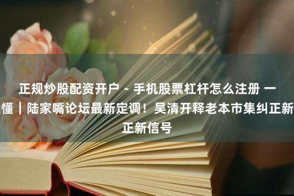 正规炒股配资开户 - 手机股票杠杆怎么注册 一图读懂｜陆家嘴论坛最新定调！吴清开释老本市集纠正新信号