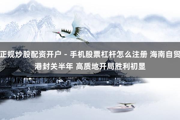 正规炒股配资开户 - 手机股票杠杆怎么注册 海南自贸港封关半年 高质地开局胜利初显